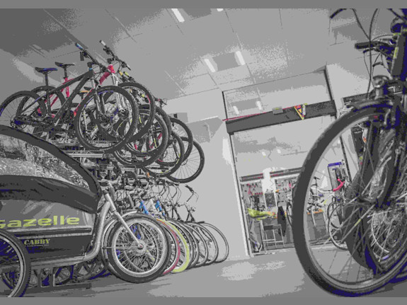 Thriving Bicycle & Accessories Shop in Eastern Ontario – 18+ Years of Loyal