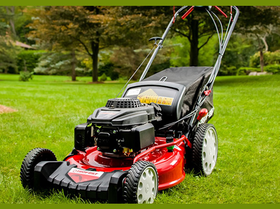 Close to $300,000 With Property / North Florida Small Engine Repair