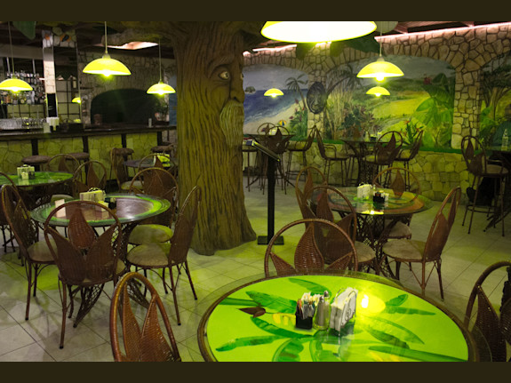 Year Round Money Making Hotel in Costa Rica