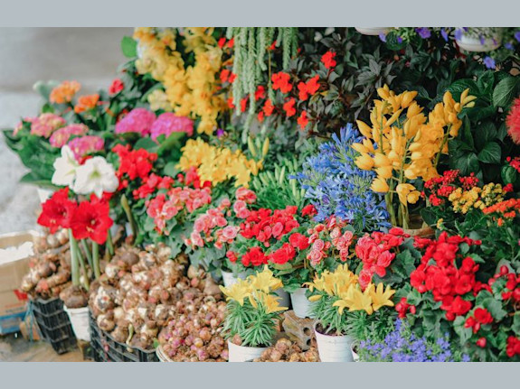 Established Florist & Gift Shop