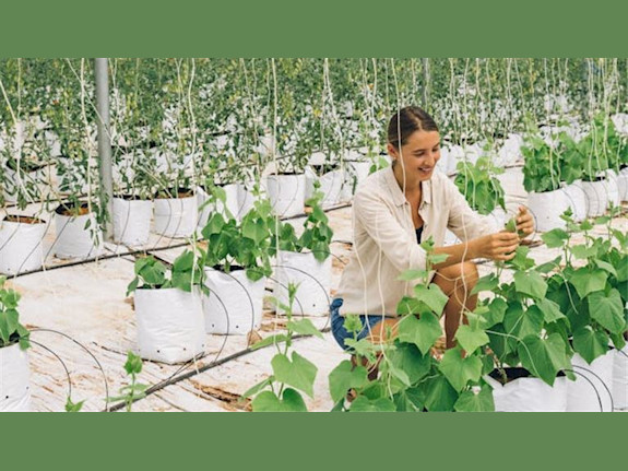 8+ Y/O African Agtech & Agritech Firm