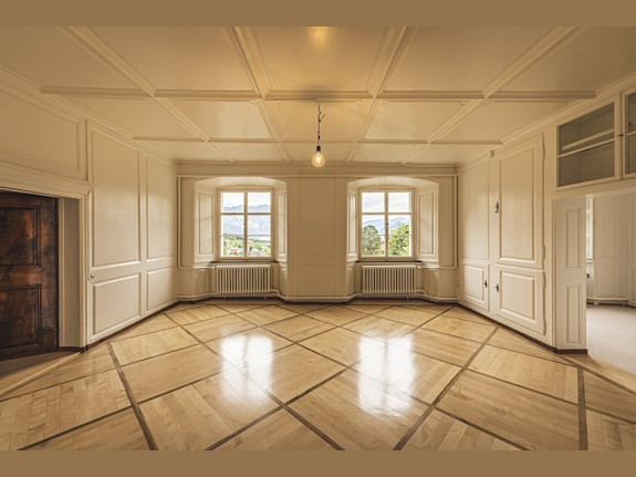 Certified Restoration Franchise for Sale in AL