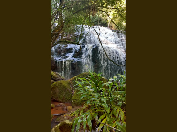 75,000 Hectareas Block in Northern Argentina