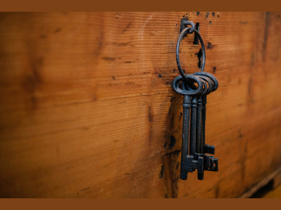 Physical Security Service Provider