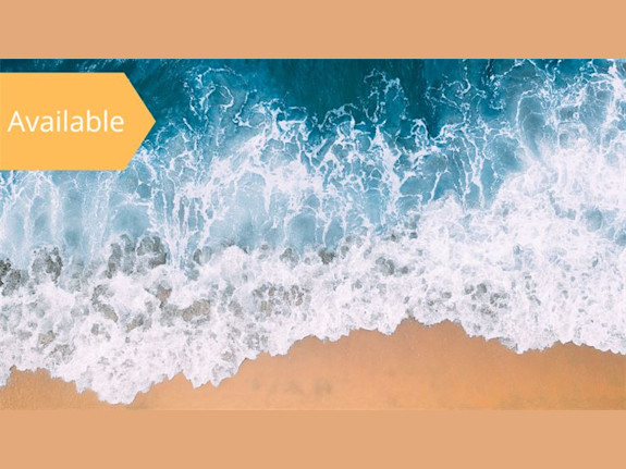 Travel & Mobile Accessories Brand / $40M+ in sales