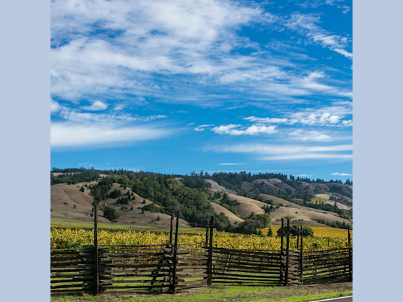 Redwood Valley, CA Veterinary Hospital for Sale