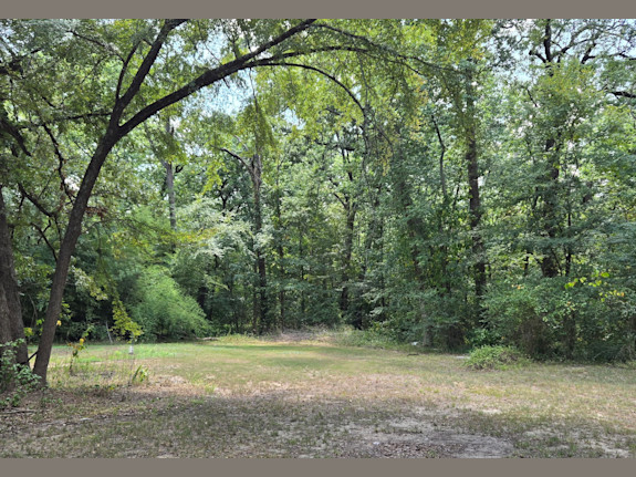 Spacious 2-Story Retreat on 4.13 Wooded Acres