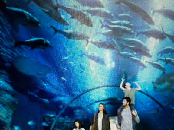 $100 USD for interest in 600 acres of Prime Land