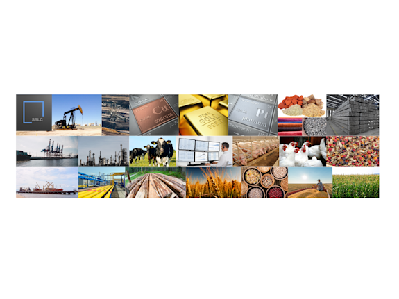 Consultation for Financing Services | SBLC