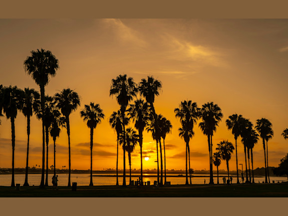 Palm Springs Area, CA Chiropractic Practice