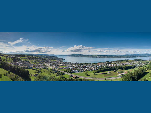 Swiss FINMA Multi-Family Office Asset Manager