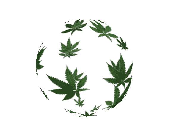 Cannabis Business Loans