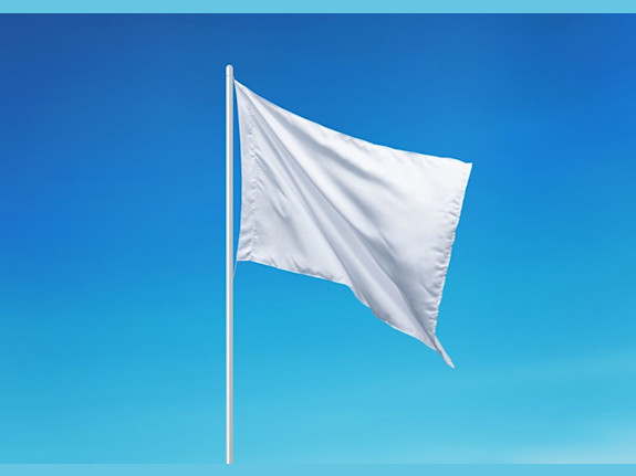 Well-Established Manufacturer & Retailer Of Custom Banners & Flags