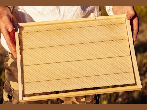 Top Quality Wooden Frame and Materials Supplier