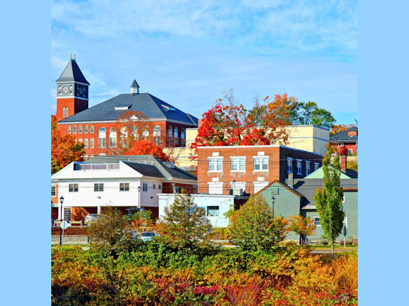 Grafton Co, NH GP Vet with $680k Revenue