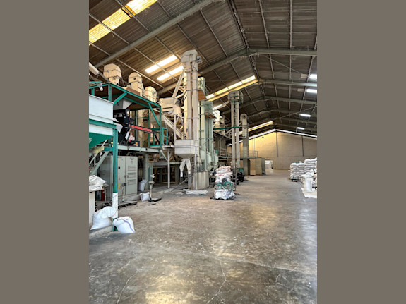 Rice Factory For Sale