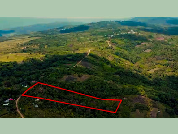Invest In Your Own Paradise In The Tarapoto Jungle