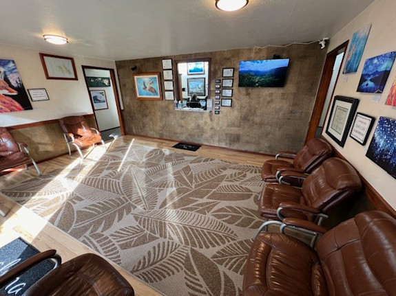 Carson City NV Chiropractic Practice For Sale