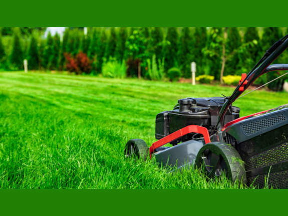 35+ Year Landscaping Business with Loyal Accounts