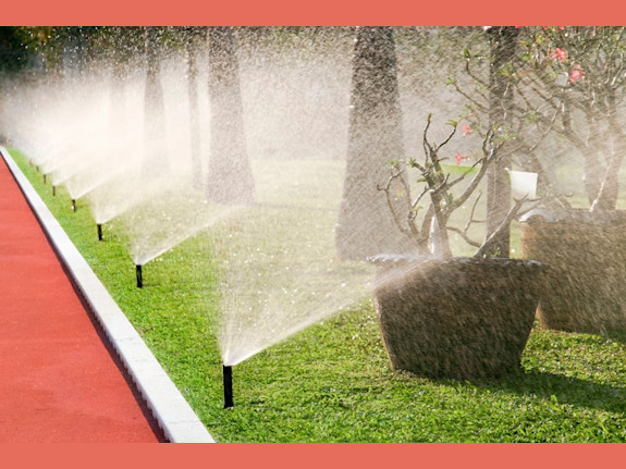 Home Based Irrigation Business in South Carolina