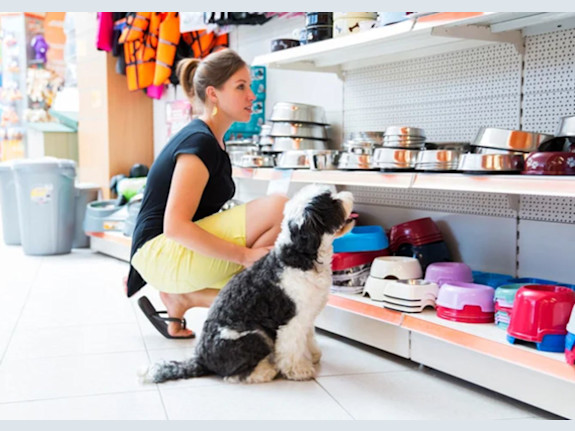 Profitable Multi-Location Pet Stores for Sale in Eastern Ontario