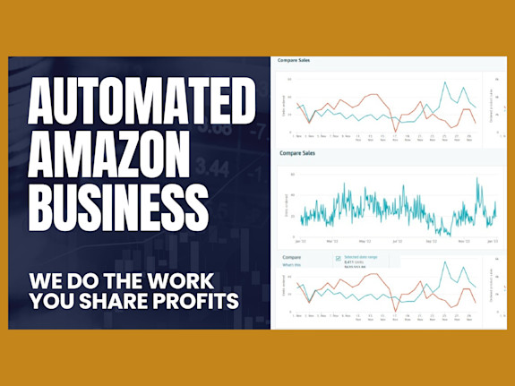 Passive Amazon Wholesale Store: We Do the Work