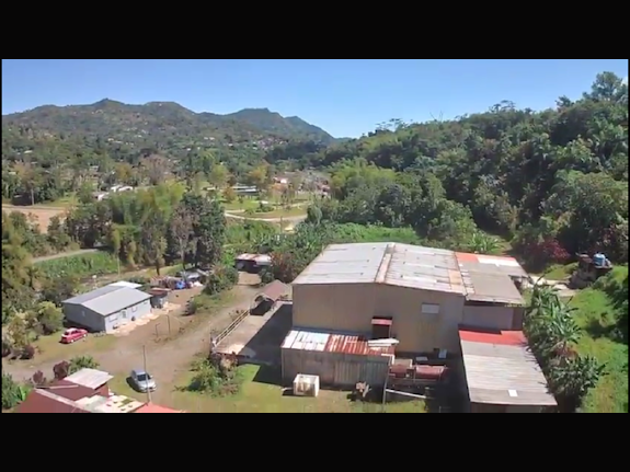 Untapped Potential of a Coffee Paradise