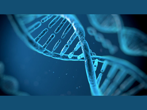 Public Shell Vehicle