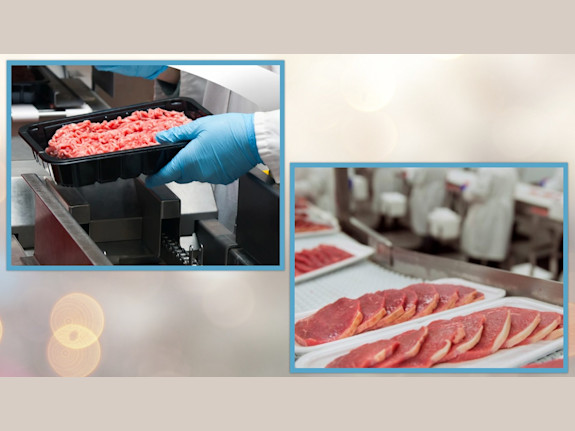Expandable Biz: Quality Meats Processing