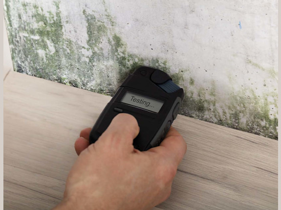 Profitable & Established Mold Remediation & Const.