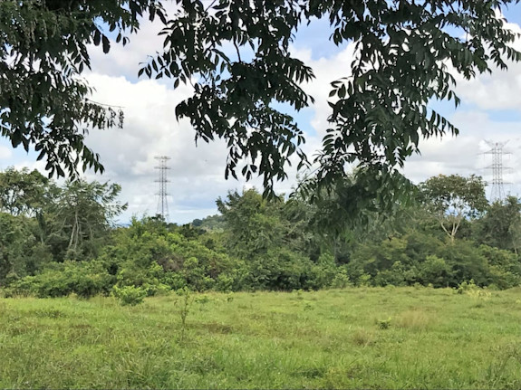 Land for Residencial Development in La Chorrera