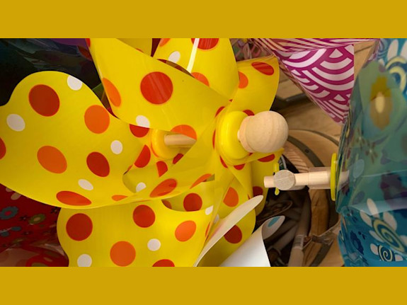 Profitable Specialty Toy Store