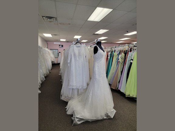 Business Opportunity Only