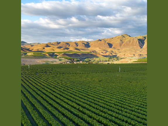 Successful Central Valley, CA Veterinary Practice