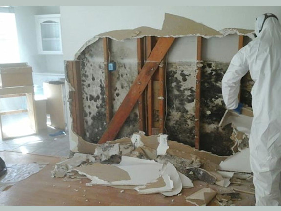 Restoration/Remediation Franchise $718K Adj EBITDA