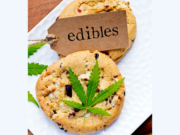 86 Ha Growth Licensed for Export / Tax Free Zone