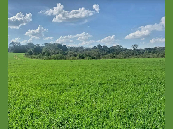 Agriculture Farm in Itapua, Paraguay