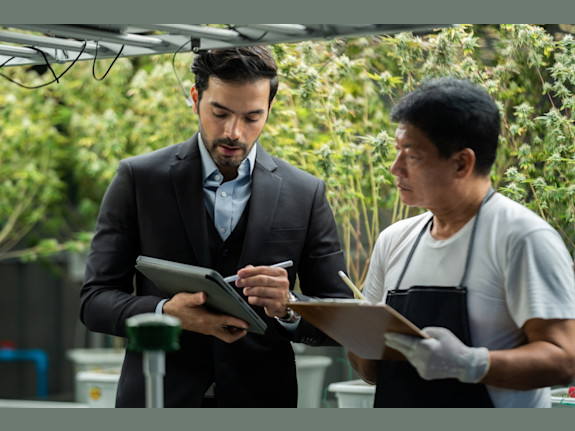 Licensed Medicinal Cannabis Operation