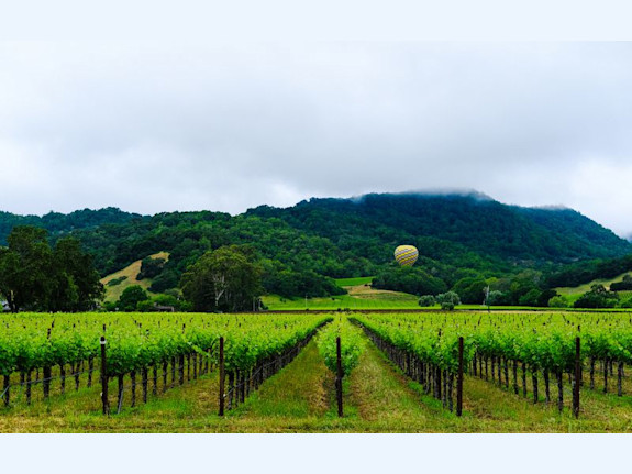 Santa Rosa, CA Chiropractic Practice For Sale