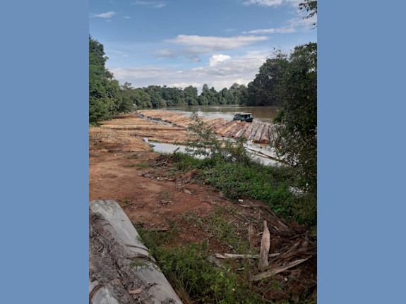 Wood Veneer Manufacture Project In Indonesia