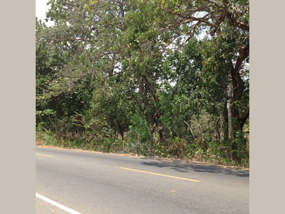 Land for sale in Pacora, Panama