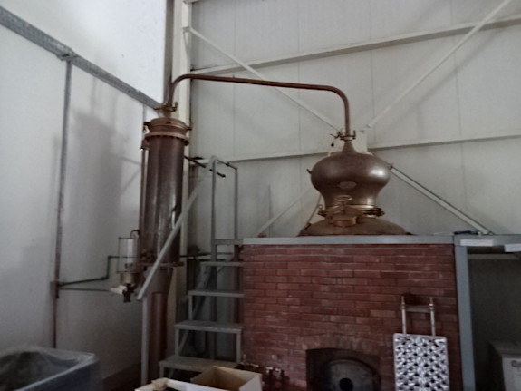 Family Winery in Halkidiki Looking for Partners