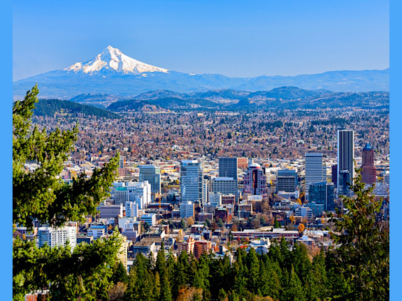 SE Portland OR Chiropractic Practice for Sale