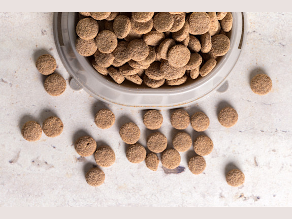 10-Year-Old Top Aquafeed Producers with EU Customers