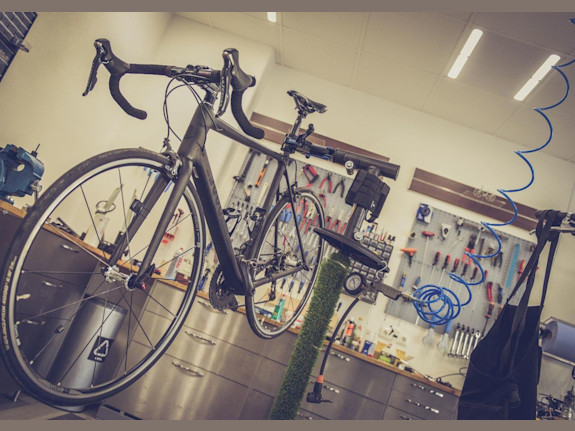 Established Bicycle Retailer & E-Commerce Business