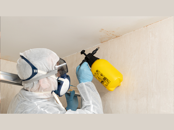 Rapidly Scaling Restoration Company – 70% YoY SDE