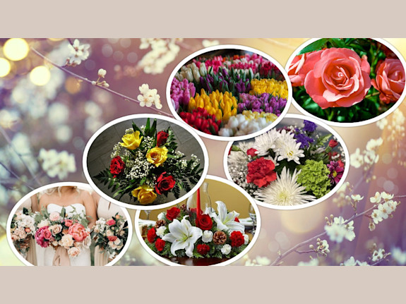 Florist Near NYC Metro Boasts SDE of 25%+