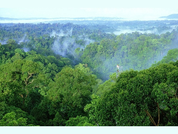 Start Up Of A Carbon Credit Trading Company