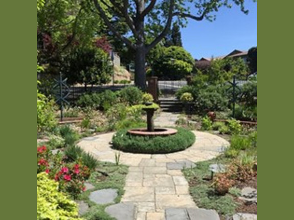 Landscape & Garden Maintenance Service