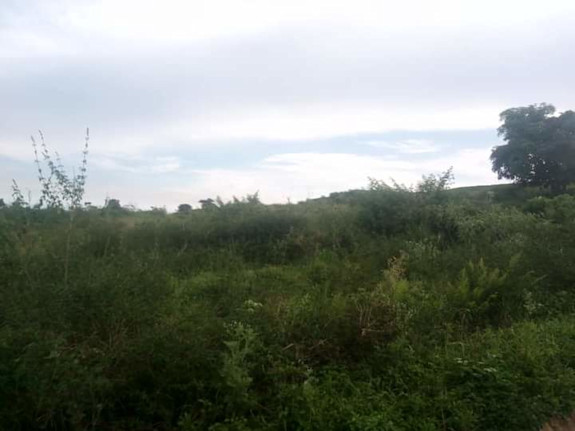 1000 Acres / 1.5 Square Mile In Kyankwanzi District